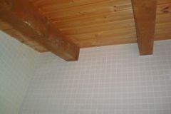 crbst_Paon_20du_20jour001